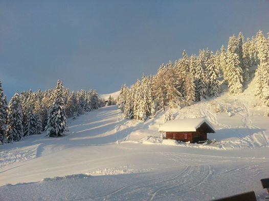 Gasthaus Furlhuette فيبيتينو المظهر الخارجي الصورة